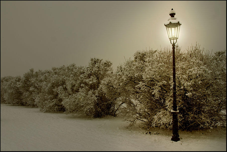 bewitched lantern by ssilence