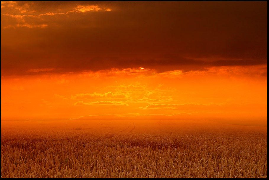 warm horizon by ssilence