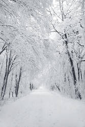 ad infinitum by ssilence