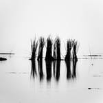 lakeIII by lwc71