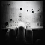Window h by lwc71