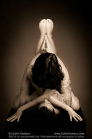 Paul and Jane I by Vienna-Calling