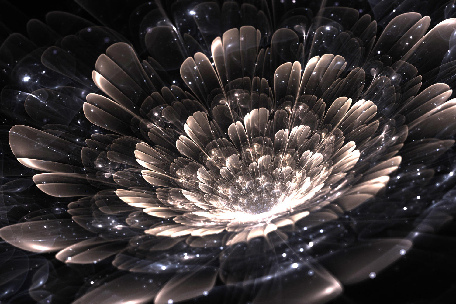 Starflower by Holmes-JA