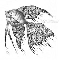 Black Lace Angelfish by aruarian-dancer