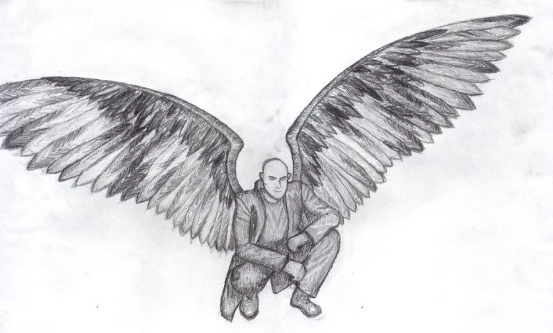 Wings by Midianian