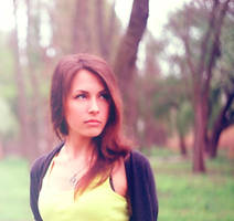 summer forest by latent-heat