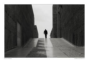 the bookkeeper by anestesic