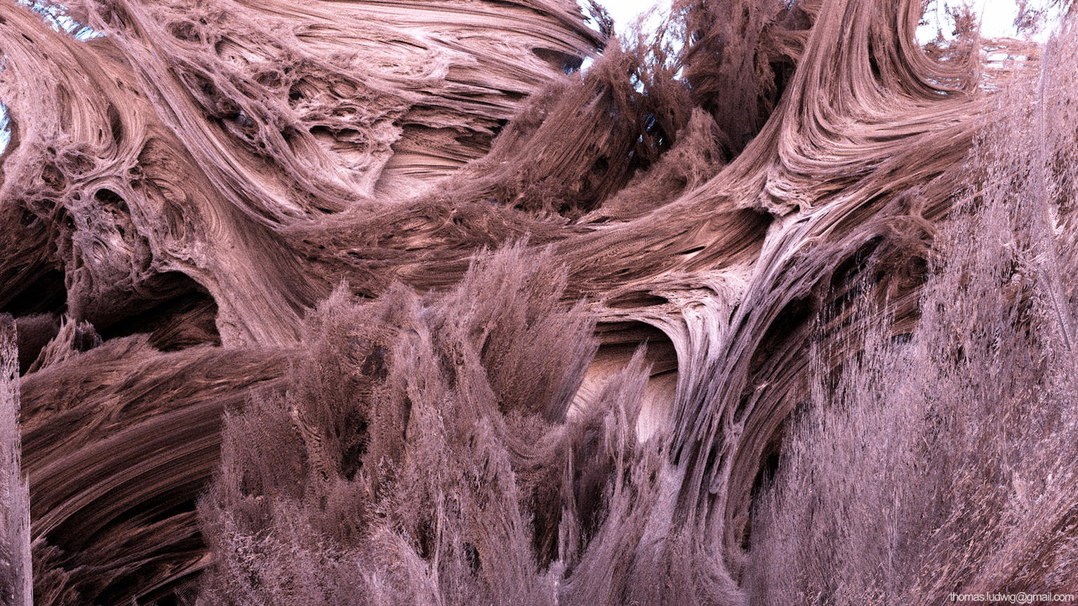 coral rift by lyc