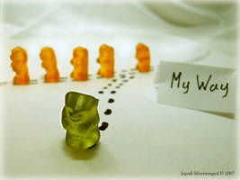 My way by SSilverwinged