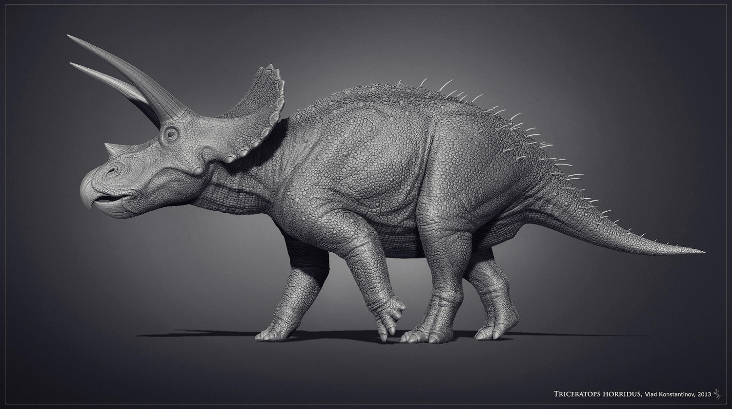 Museum Triceratops by Swordlord3d