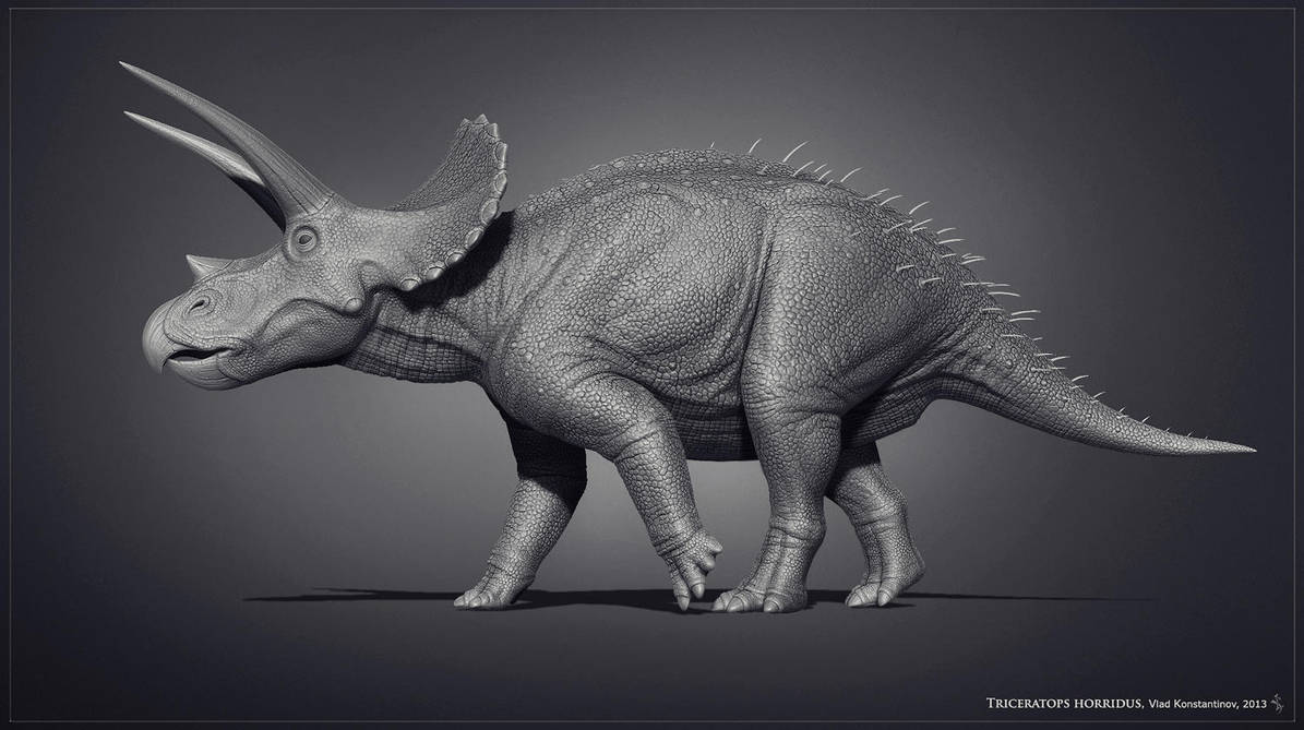 Museum Triceratops by Swordlord3d