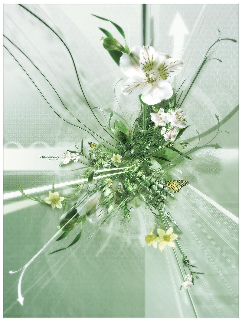 alstroemeria by zomni
