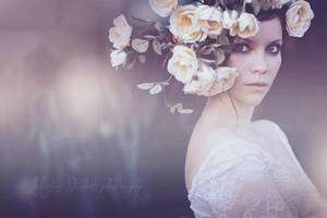 - Beyond The Invisible - by tynaS