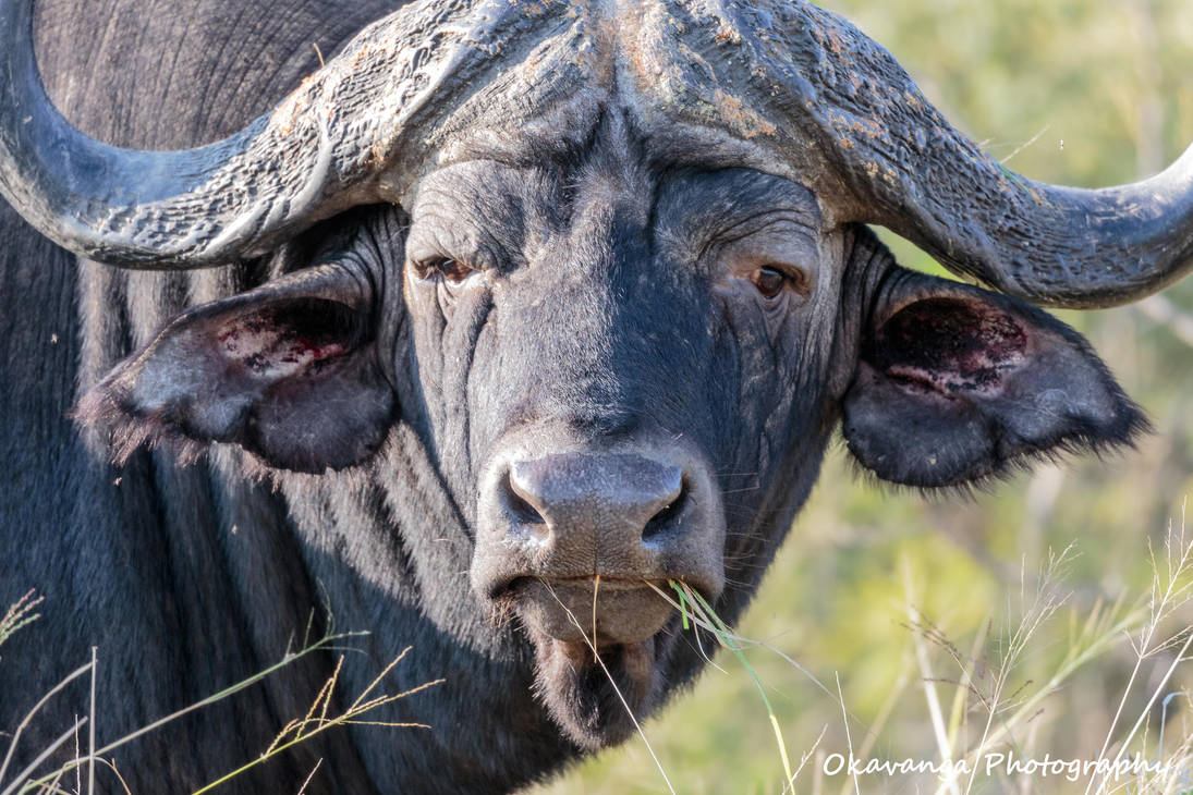 Dugga Boy by Okavanga on DeviantArt