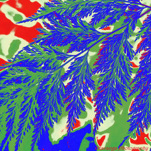 Leaf - RYGB Palette by Okavanga Leaf - RYGB Palette by Okavanga