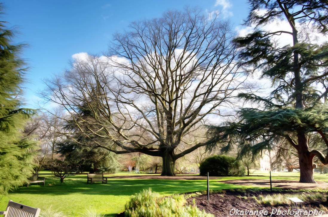 Dream Smooth - Kew Vista by Okavanga Dream Smooth - Kew Vista by Okavanga