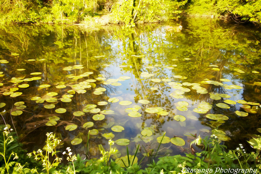 Dream Smooth - River Stour Lily Pond by Okavanga Dream Smooth - River Stour Lily Pond by Okavanga