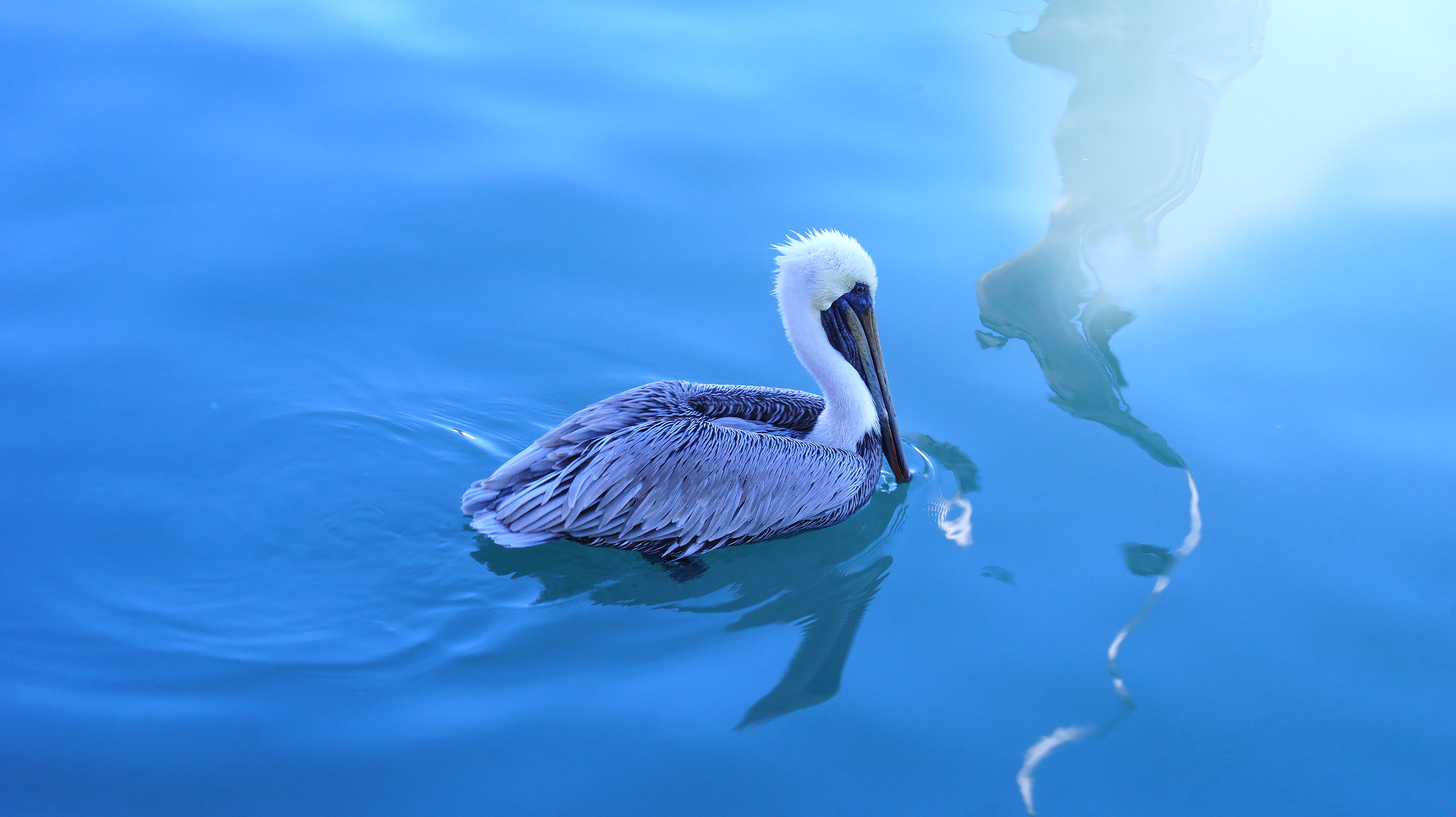 cruising with kirbies