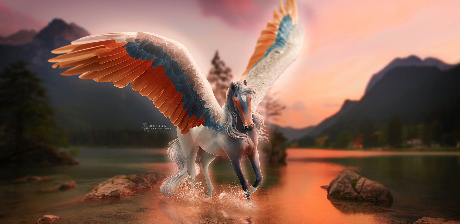 THE FREEDOM OF FALLING by Rhiaan