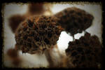 heads by awjay