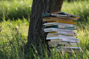 Un apres midi memorable I by Suave-Illusion