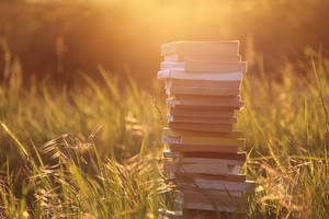 Un apres midi memorable V by Suave-Illusion