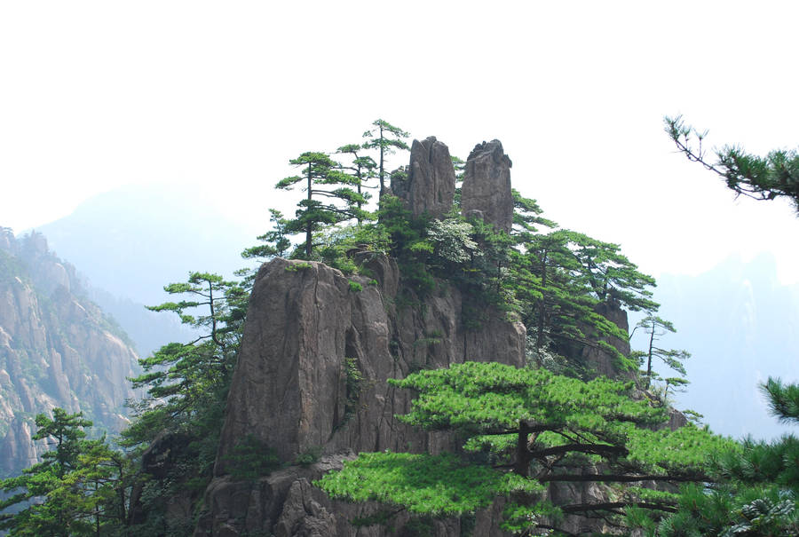 huangshan 1.7 by meihua-stock