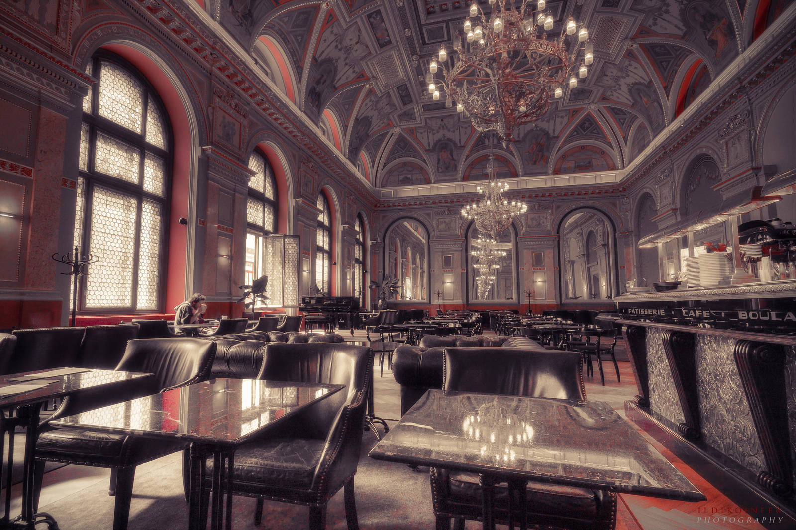 first guest by ildiko-neer