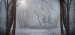 Ice Queen's Empire by ildiko-neer