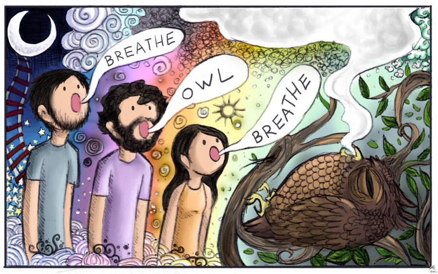 Breathe, Owl, Breathe. by Chocoreaper