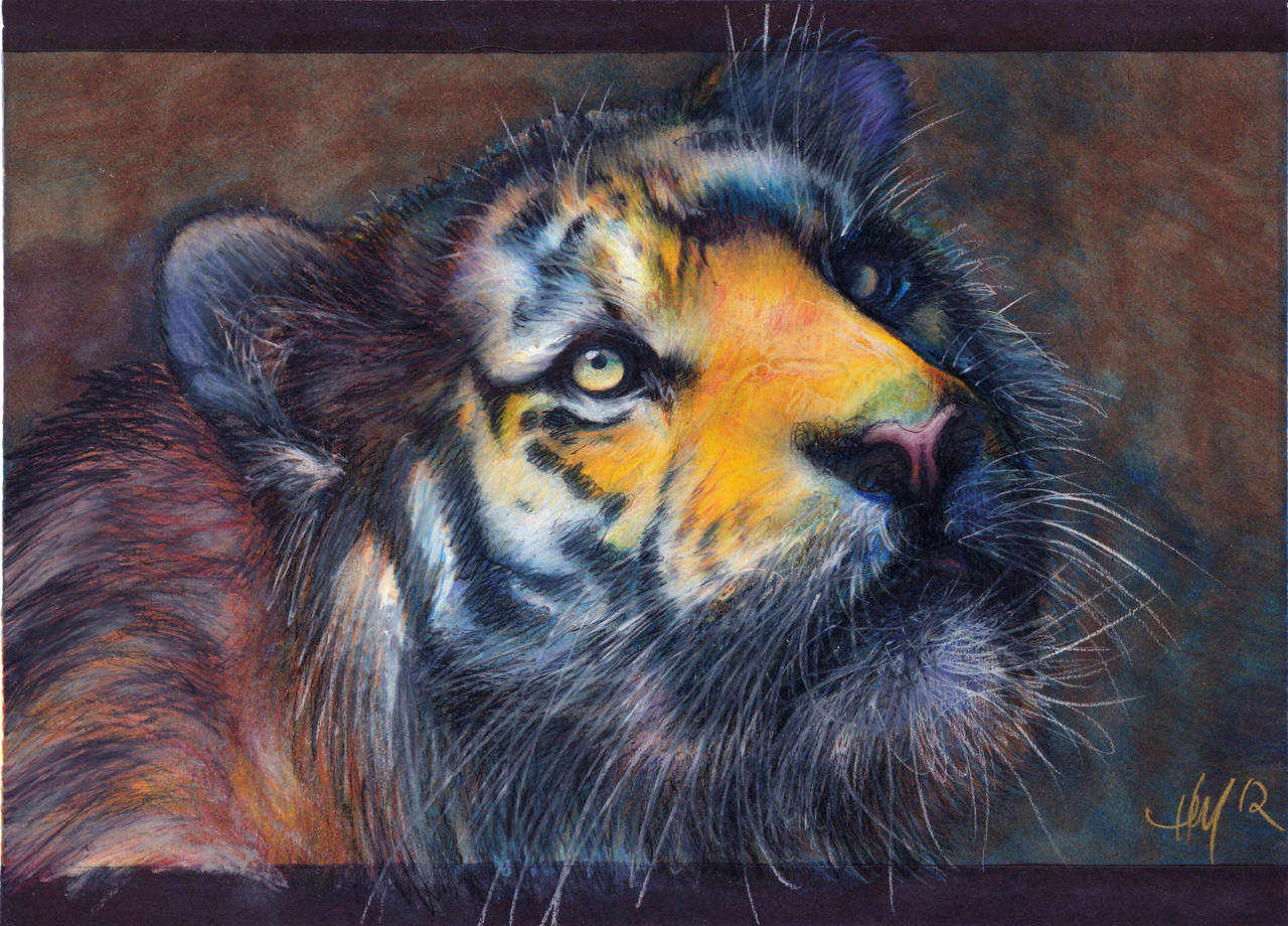 Tigery by Novawuff