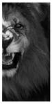 Long Live the King by HeWhoWalksWithTigers