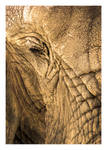 Weathered by HeWhoWalksWithTigers