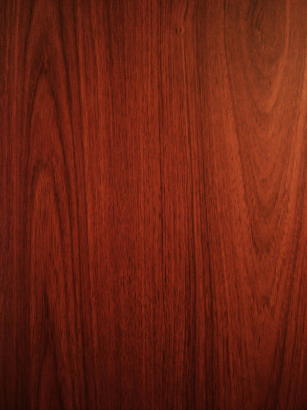 Wood texture I by ResurgidaResources