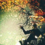 reflection of autumn by StopScreamGraphy
