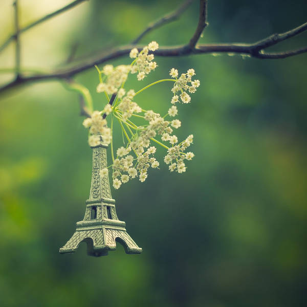 p a r i s. by StopScreamGraphy