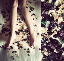 Broken legs by MendYourHand