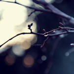 I Took The Road Not Taken by the-precious-moment