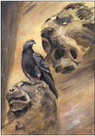 Lions of Florence by sanderus
