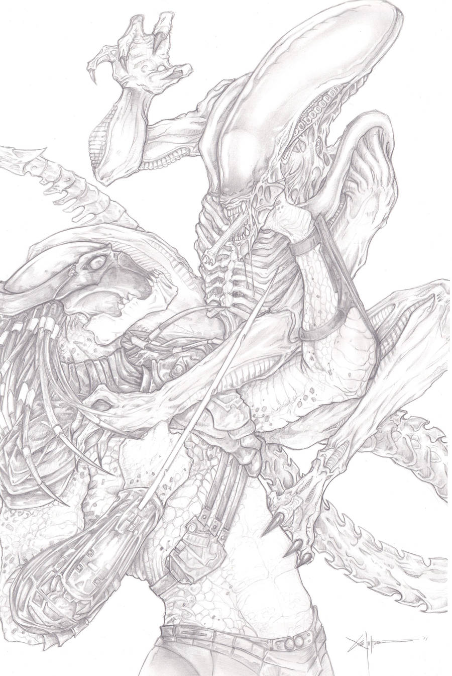 the Xenomorph Alien Queen by ChrisOzFulton on DeviantArt