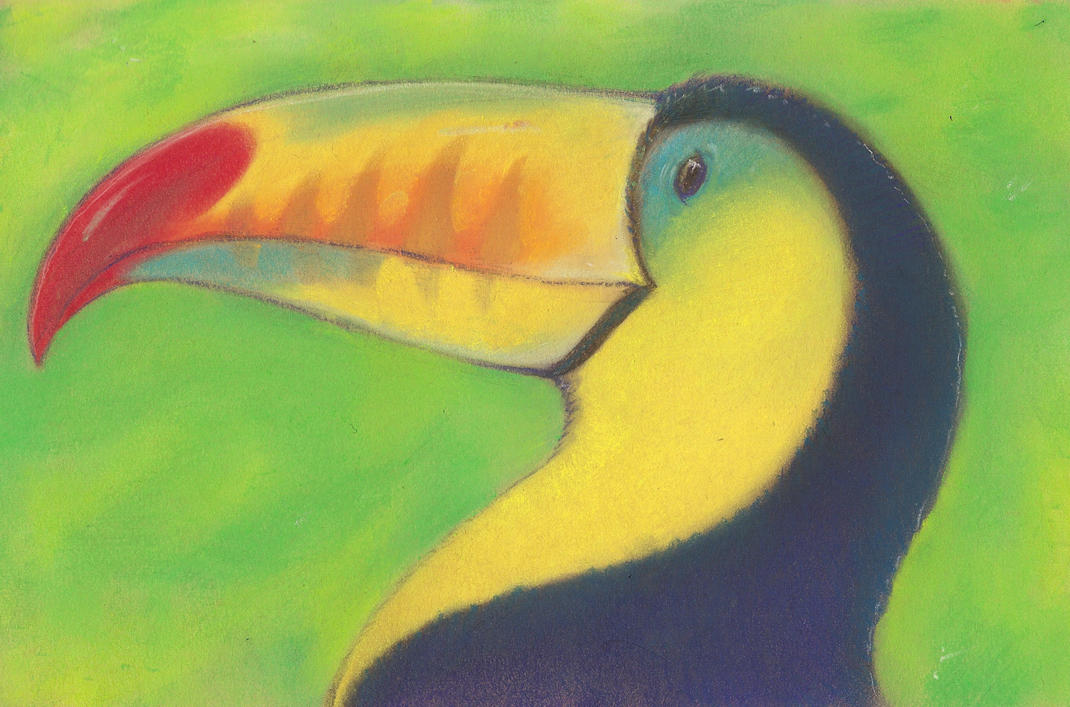 toucan by luve
