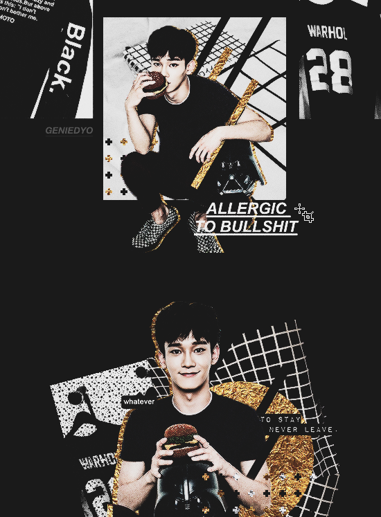 ALLERGIC TO BULLSHIT ft.Jongdae (Tumblr Indie) by GenieDyo