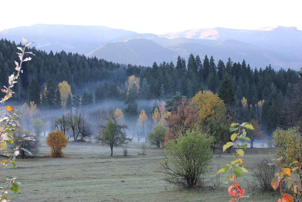 Meseli - Savsat - Artvin - Turkey by thehighyam on DeviantArt