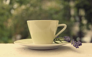 Breakfast tea. by xsanah