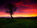 Winter's Sun by sican