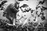 Pigeon man 1 by sican
