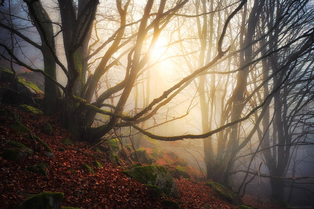Mystic Embrace by FlorentCourty