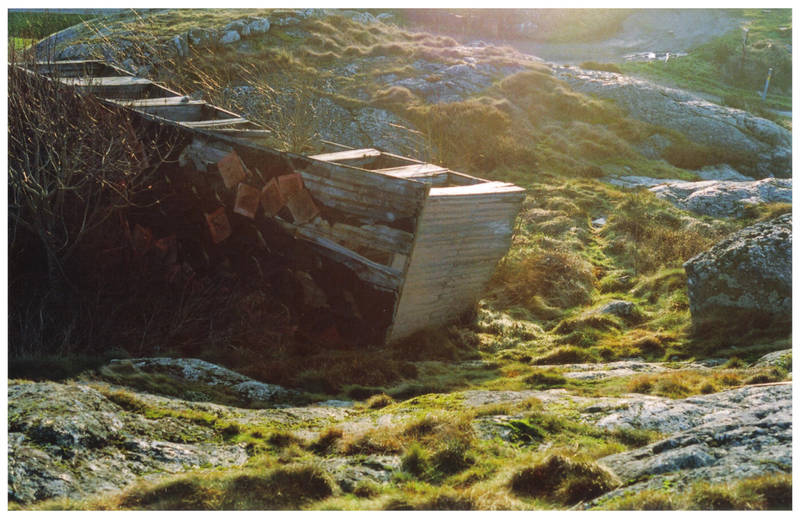 Decay by NiklasAndersson