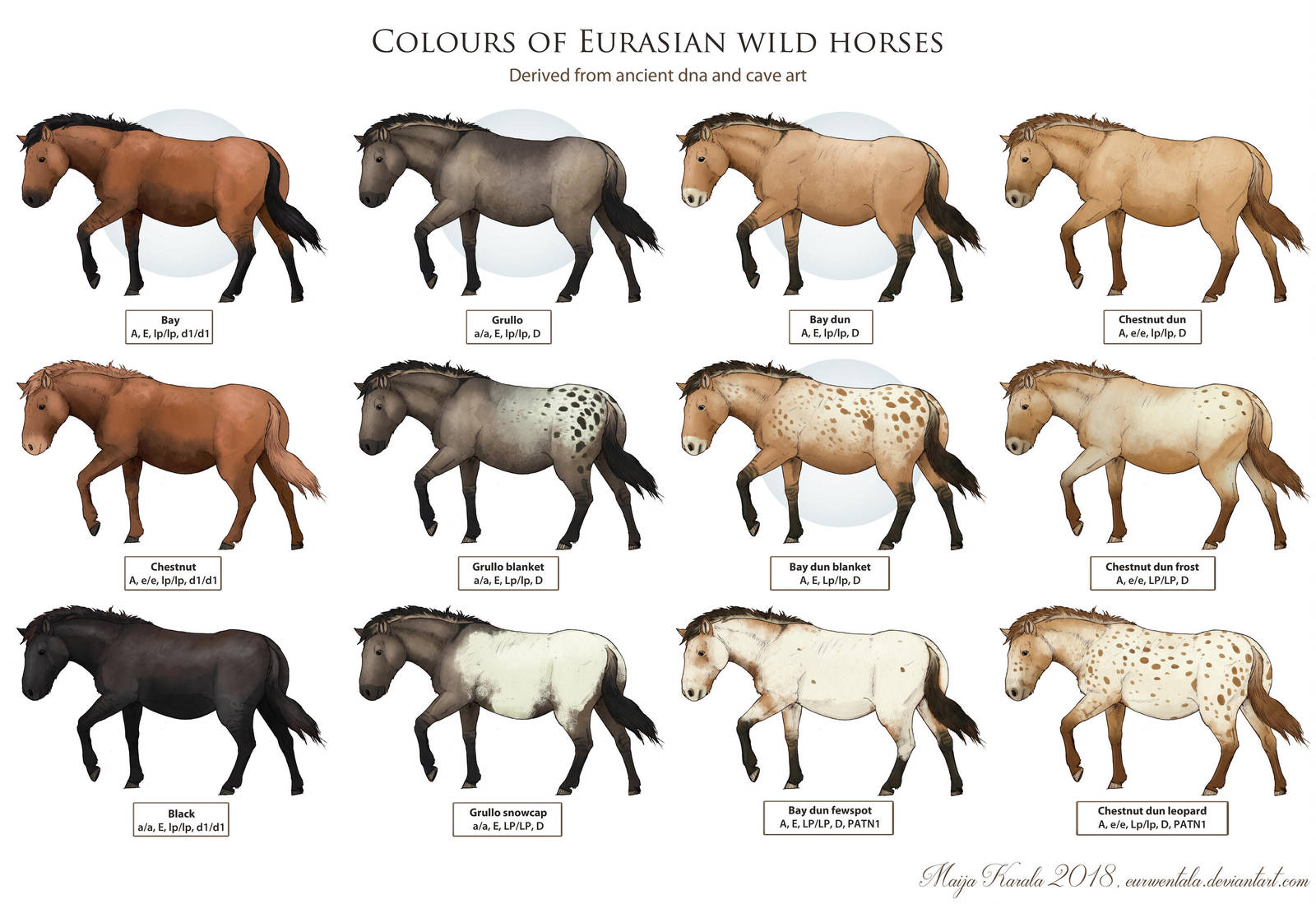 Wild Horses by Eurwentala