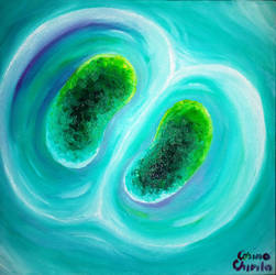 Cyanobacteria by CORinAZONe